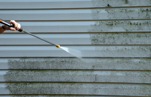 Best Rust Removal  in Pomona Park, FL